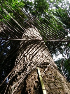20110204-02.jpg