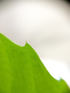 20150526iPhoneX゙-08.jpg