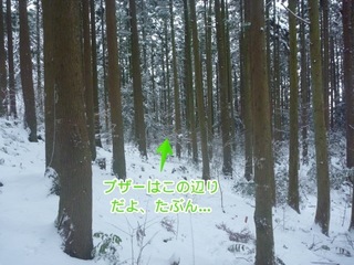 20160114Ǖihƃt゙T゙[_50m_fig.jpg